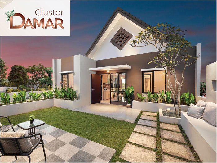 cluster damar