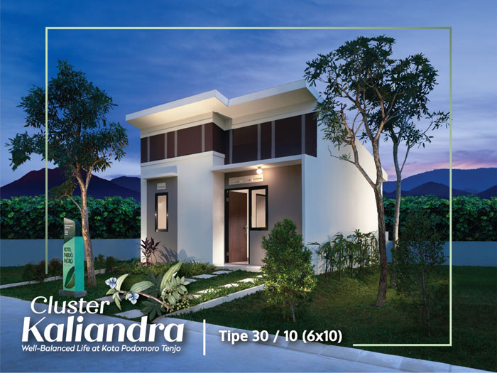 cluster kaliandra